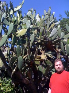 cacti.andy